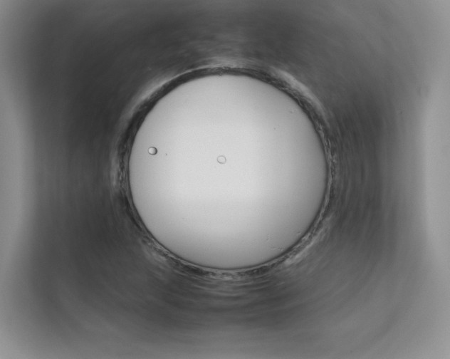 X0000112401215200908140958
