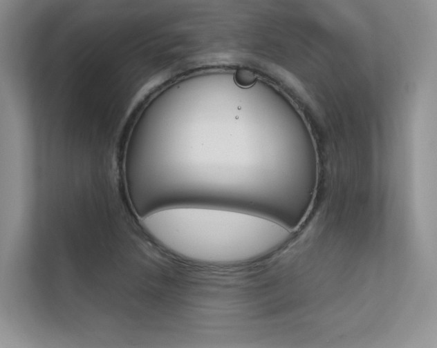 X0000112401218200908140958