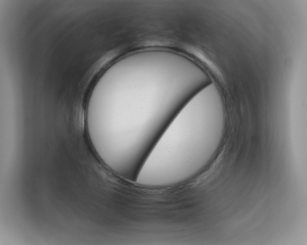 X0000112401221200908140958