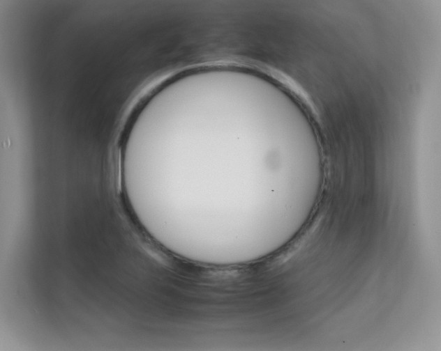 X0000112401223200908140958