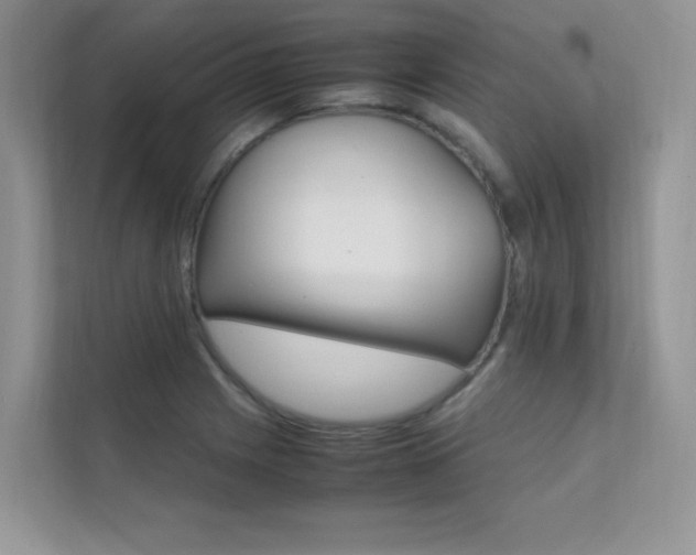 X0000112401225200908140958