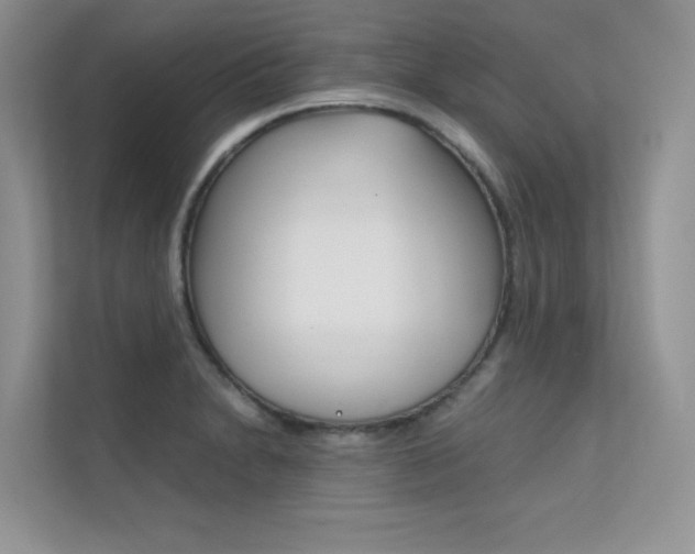 X0000112401230200908140958