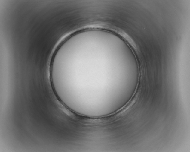 X0000112401232200908140958