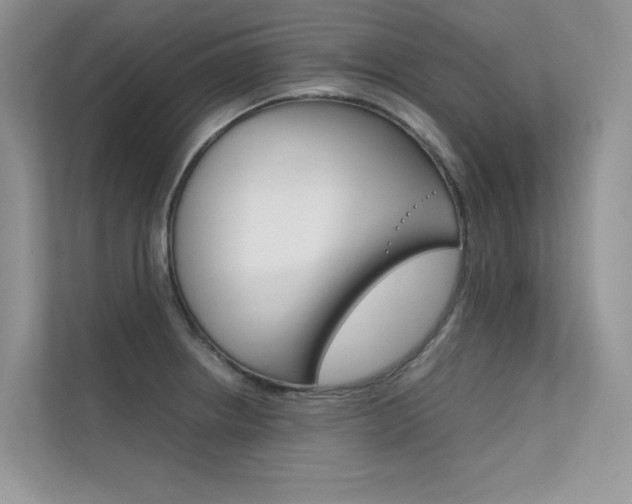 X0000112401234200908140958