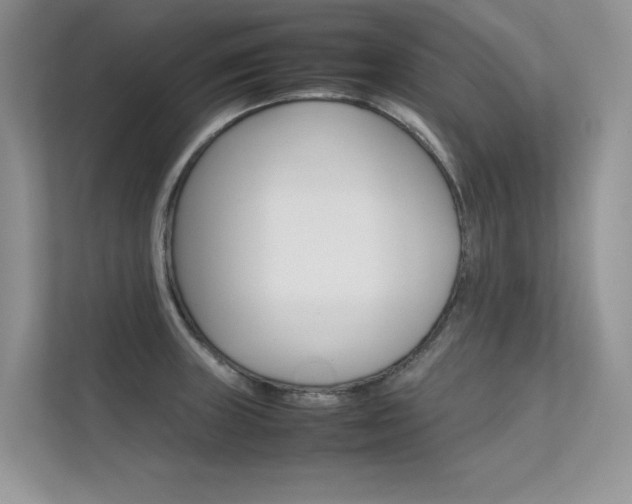 X0000112401235200908140958