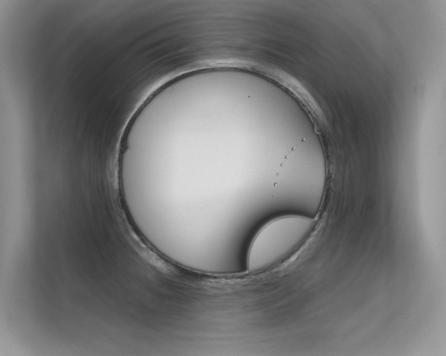 X0000112401236200908140958