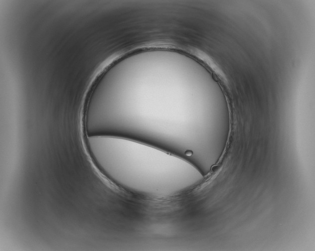 X0000112401237200908140958