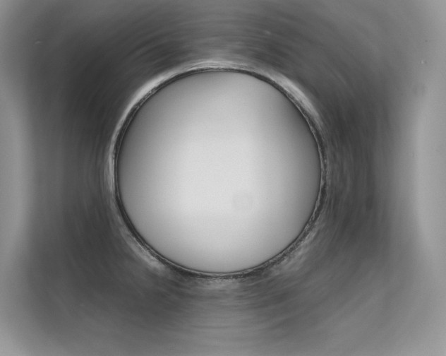 X0000112401238200908140958