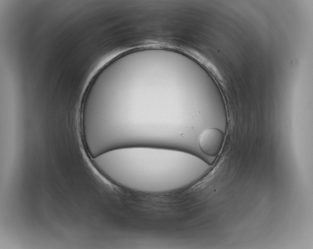 X0000112401239200908140958