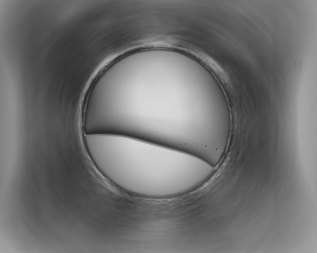 X0000112401240200908140958