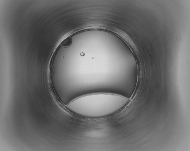 X0000112401242200908140958