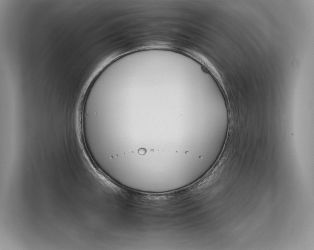 X0000112401243200908140958