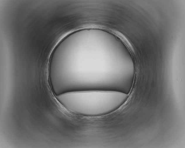 X0000112401244200908140958