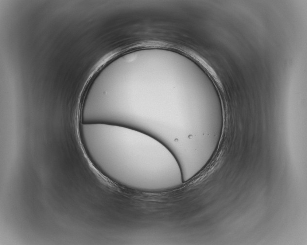 X0000112401245200908140958