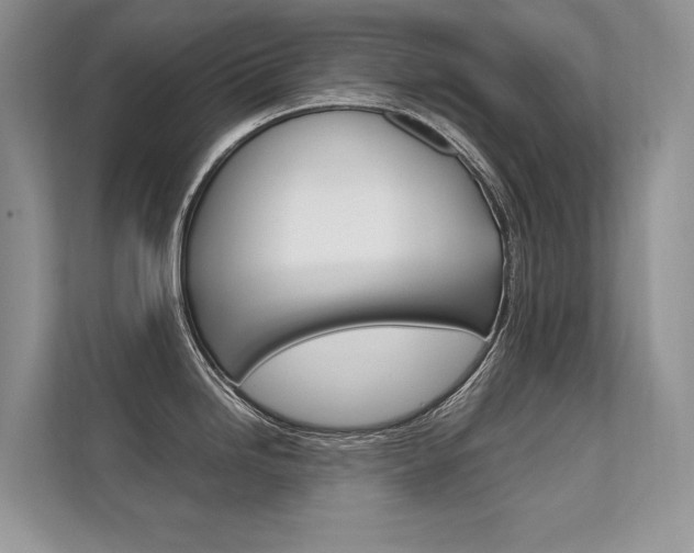 X0000112401246200908140958