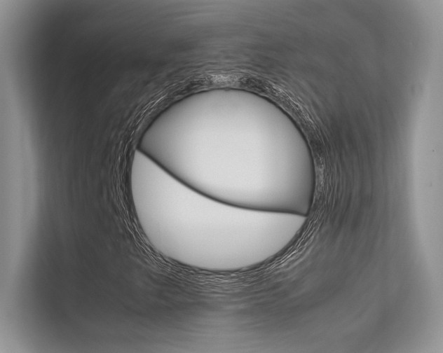 X0000112401249200908140958