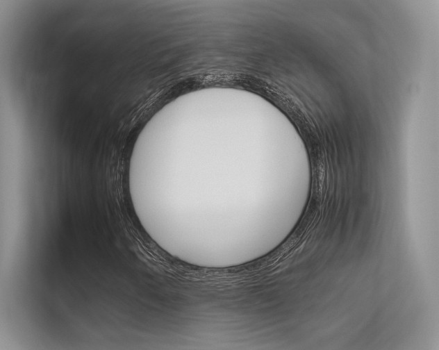 X0000112401250200908140958