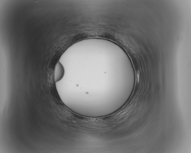 X0000112401251200908140958