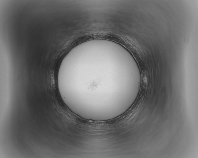 X0000112401252200908140958