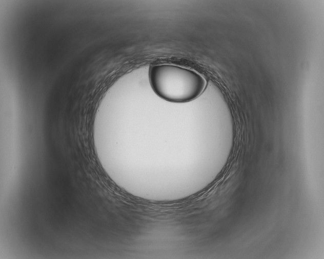 X0000112401253200908140958