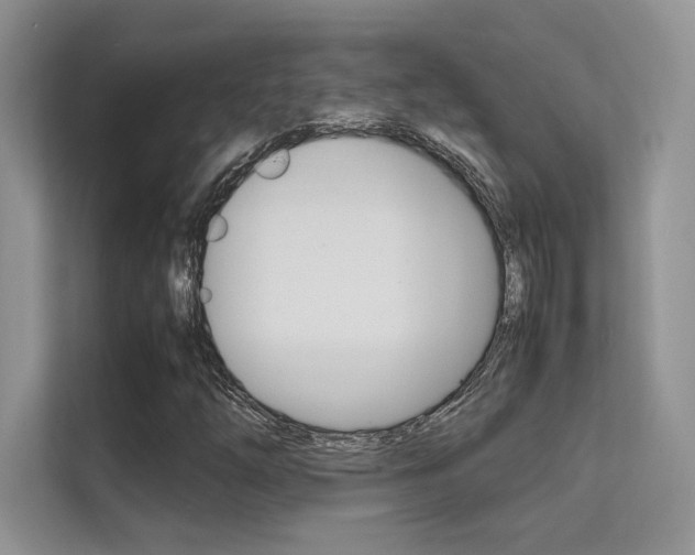 X0000112401254200908140958