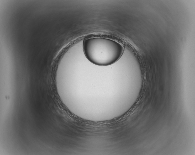 X0000112401256200908140958