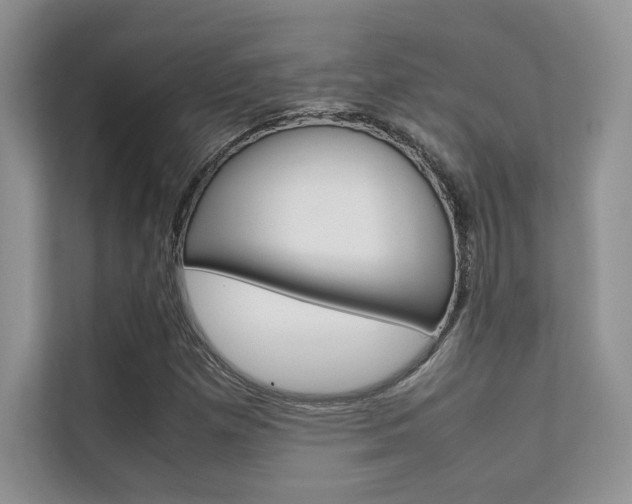 X0000112401257200908140958