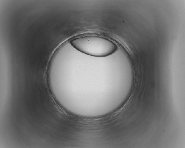 X0000112401260200908140958