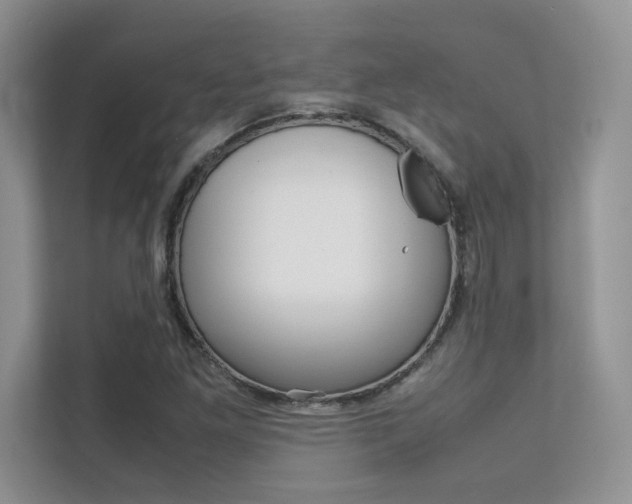 X0000112401261200908140958