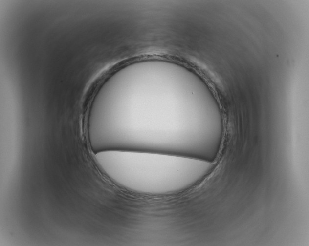 X0000112401262200908140958