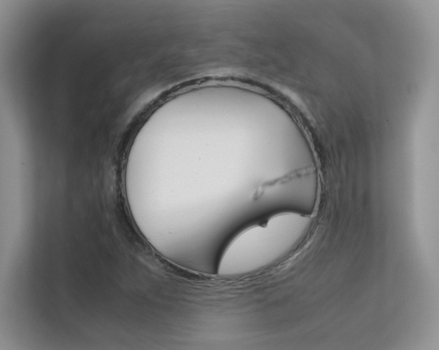 X0000112401263200908140957
