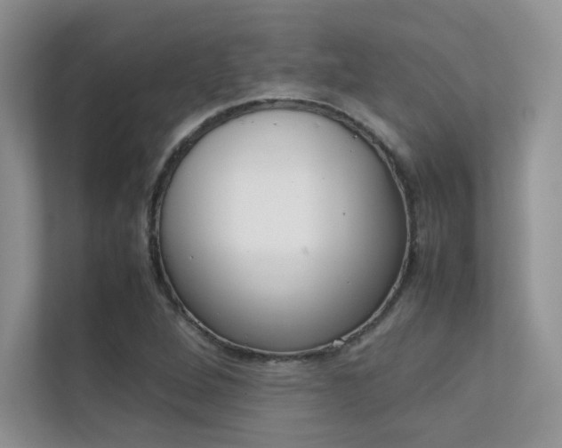 X0000112401264200908140957