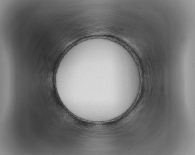 X0000112401265200908140957