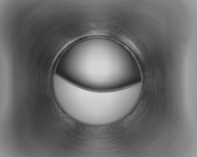 X0000112401268200908140957