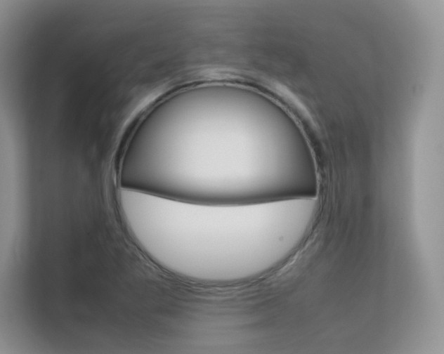 X0000112401269200908140957