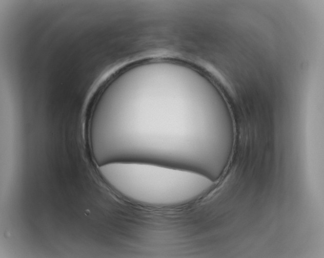 X0000112401270200908140957