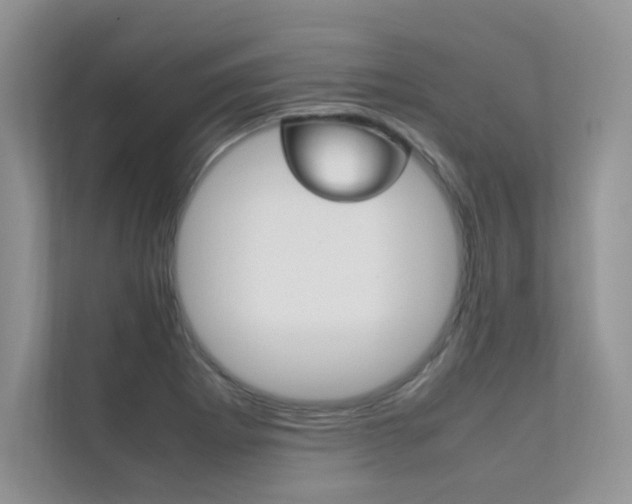 X0000112401273200908140957