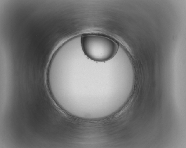X0000112401277200908140957
