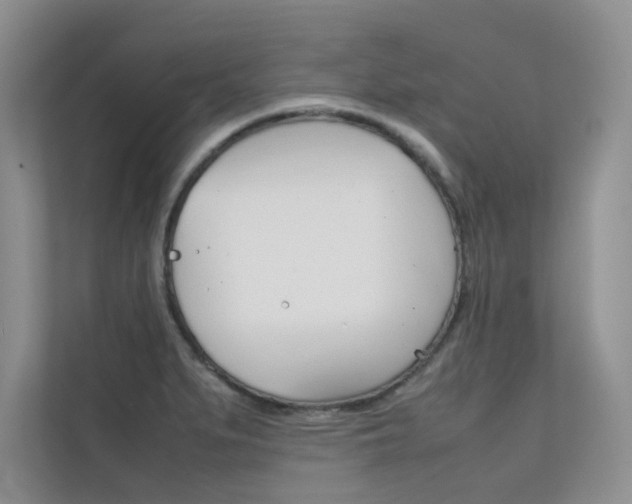 X0000112401279200908140957