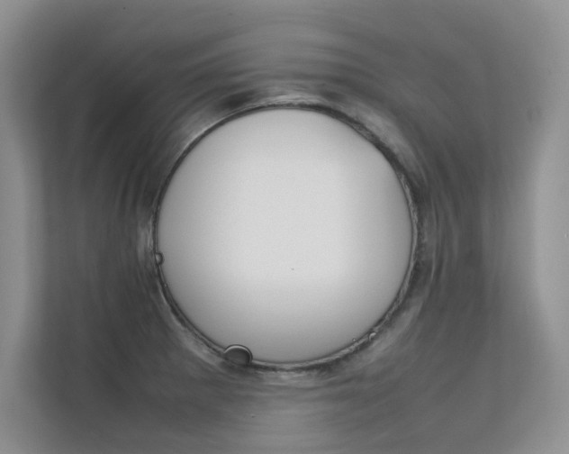X0000112401281200908140957