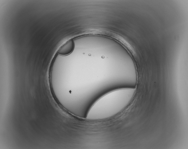X0000112401283200908140957