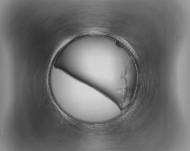 X0000112401285200908140957