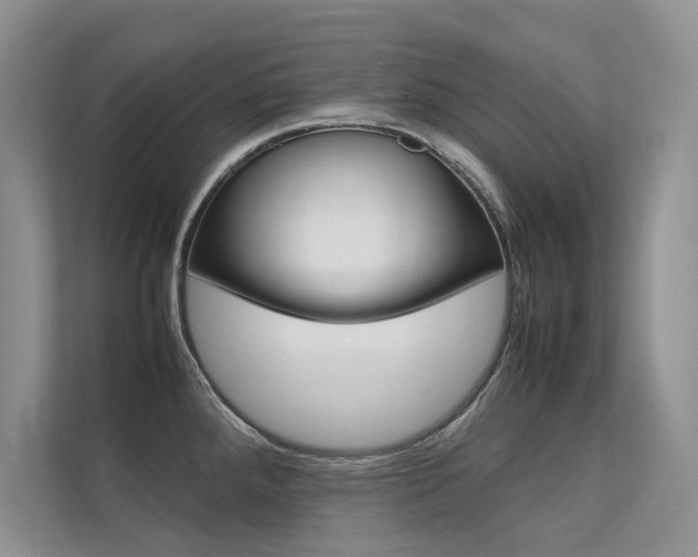 X0000112401288200908140957