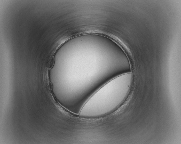 X0000112401289200908140957