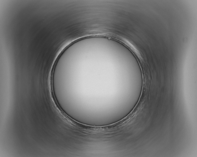 X0000112401291200908140957