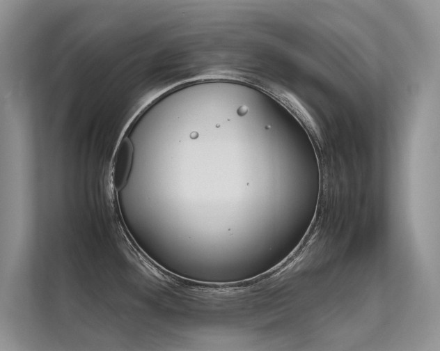 X0000112401292200908140957