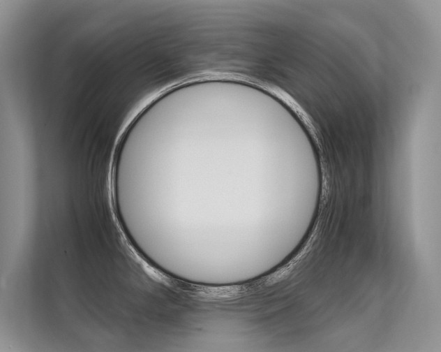 X0000112401294200908140957