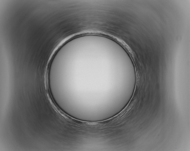 X0000112401295200908140957