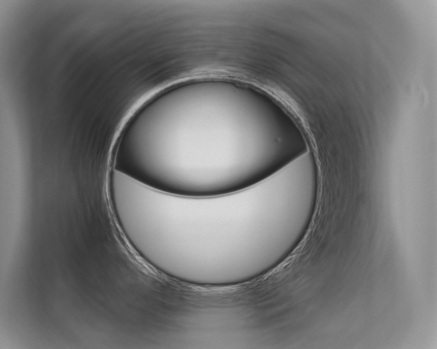 X0000112401296200908140957