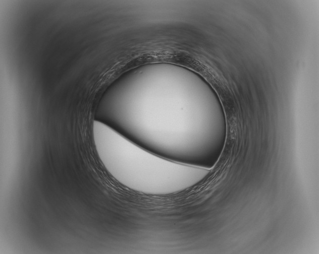 X0000112401298200908140956